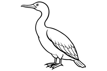 cormorant line art silhouette vector illustration