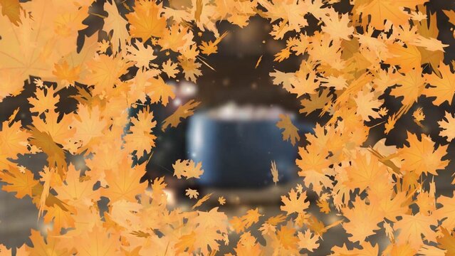 Autumn Leaves Transition Vol 01