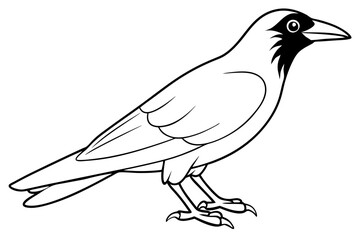crow line art silhouette vector illustration