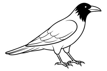 crow line art silhouette vector illustration