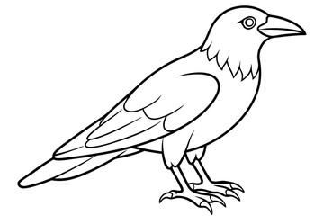 Obraz premium crow line art silhouette vector illustration