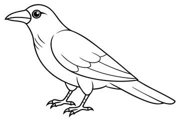 crow line art silhouette vector illustration