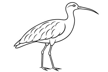 Obraz premium curlew line art silhouette vector illustration