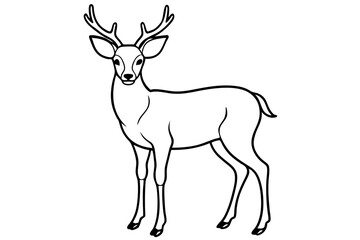 deer line art silhouette vector illustration