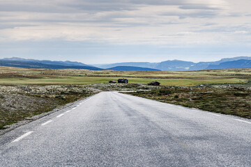 A solitary houses by a road sits in the wide, rugged tundra of Norway, surrounded by an expansive landscape and distant mountains under a cloudy sky