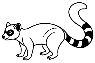 Obraz premium Sleek Ringtail Art