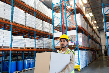 Fototapeta premium Warehouse worker in hard hat carrying large box, organizing inventory efficiently, copy space