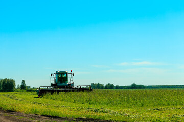 A green tractor is in a field of grass