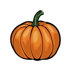 Vibrant Orange Pumpkin Illustration:  Vector Graphic