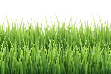 green grass isolated