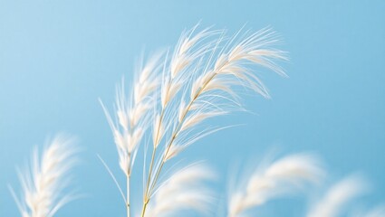 Reeds Swaying in the Breeze Outdoor Field, closeup shot, Generative AI