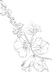 Vector illustration of beautiful hollyhock flowers bouquet, hand-drawn coloring book of artistic, blossom flowers hollyhock isolated on white background, sketch art leaf branch botanic collection adul