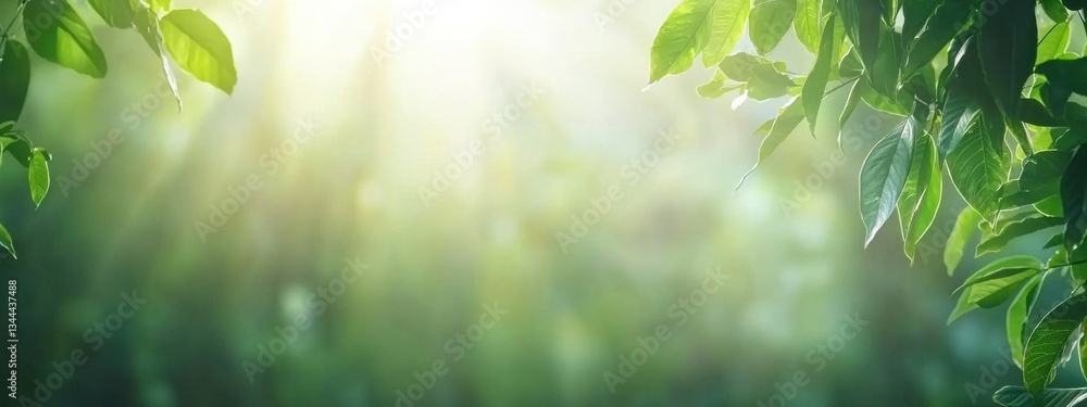 Poster sunlight filtering through green leaves in a lush forest setting