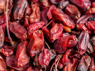 Bright barberries in the background, creating an atmosphere of freshness and natural beauty.