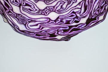 Obraz premium cabbage