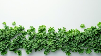 Obraz premium Bright kitchen greens harvest kale white background
