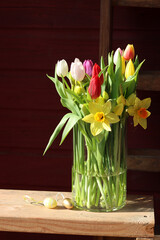 Bouquet of tulips and daffodils in a glass vase on a red background