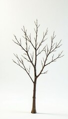 Thinner branches of a small tree against a bright white surface, nature, bare