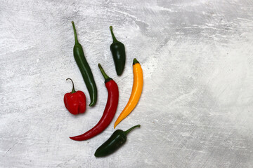 Hot chili peppers on a gray background. Spices for cooking.