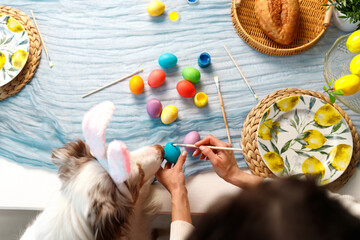 smiling girl paints a brush easter egg with young australian shepherd dog on the kitchen table with...