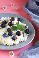 Bowl with Oatmeal Blueberries and Marshmallows on Pink Background