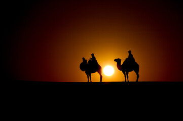 Group Of Camels walking in liwa desert in Abu Dhabi UAE