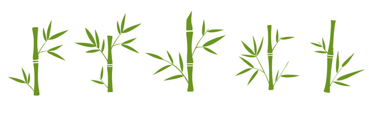 Collection of bamboo silhouettes on white background. Bamboo trunk, branches and leaves. Vector illustration.