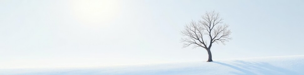 Thinner branches of a small tree against a bright white surface, branch, frosty, tree