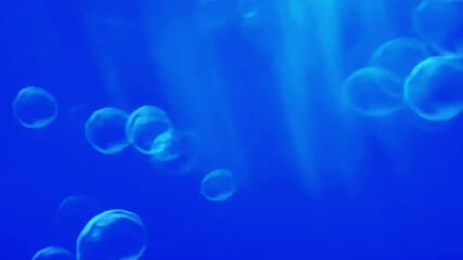 4K underwater animation background with floating air bubbles rising in deep blue water, ideal for aquatic visuals, ocean atmosphere, relaxation videos, or nature-themed edits

