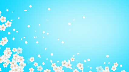 spring cherry blossoms on blue paper texture background, Japanese cherry petals sales design element