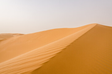 Dune du Sahara Algérien