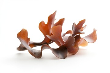 Organic shapes in rich brown tones create captivating natural ae