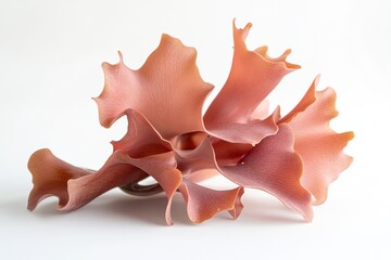 Obraz premium Delicate coral-like structure in soft peach tones, showcasing el