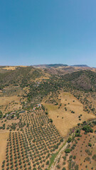 Countryside of Spain. Hills with agriculture. Olive tree farms. Fields of threshed wheat.  Beautiful landscape in South of Spain, Andaluc&iacute;a province.