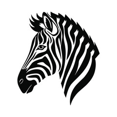 zebra vector illustration on white background © Amia