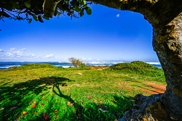 Oahu, Hawaii Spring 2025