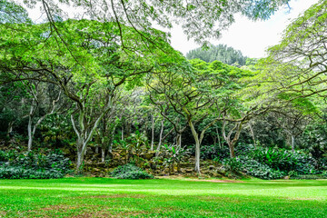 Oahu, Hawaii Spring 2025