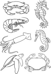 sea ​​animals set of vector outline illustration, crab, seahorse, turtle, squid, shrimp, coloring book