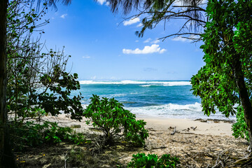 Oahu, Hawaii Spring 2025