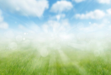 Spring sky and grass background