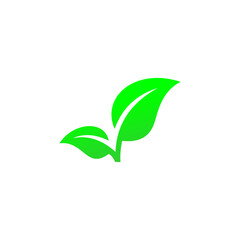 Green leaf icon