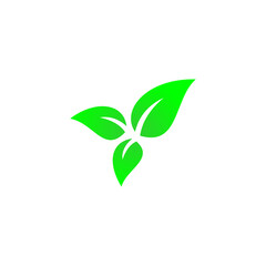 Green leaf icon