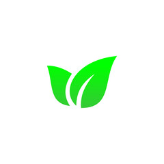 Green leaf icon