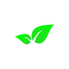 Green leaf icon