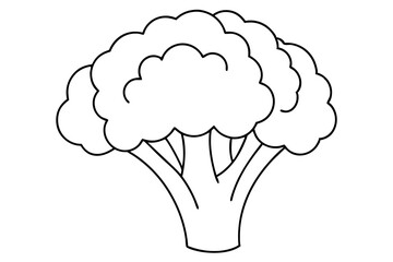broccoli line art silhouette vector illustration