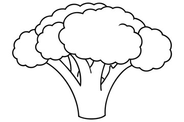 broccoli line art silhouette vector illustration