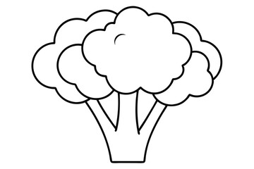 broccoli line art silhouette vector illustration
