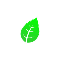 Green leaf icon