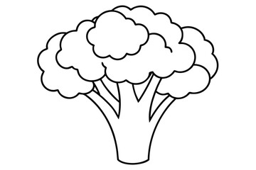 broccoli line art silhouette vector illustration