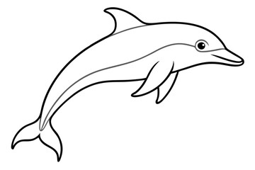 dolphin line art silhouette vector illustration